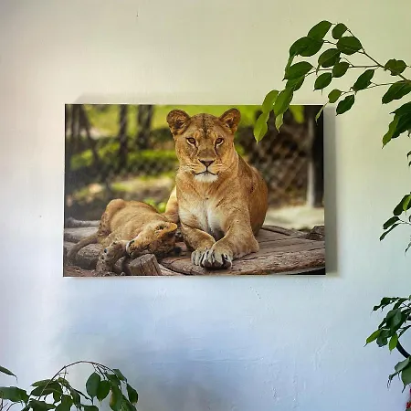 Slunecnice Pensionat 3*