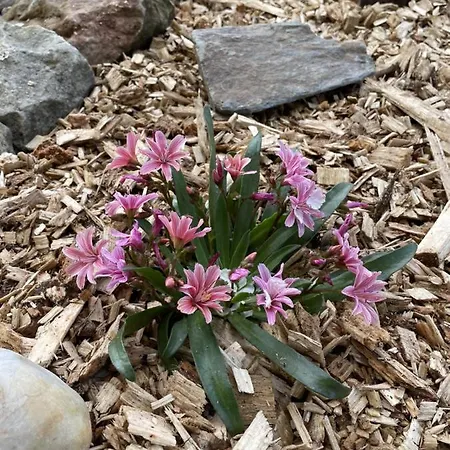 Slunecnice 3* Dvůr Králové nad Labem