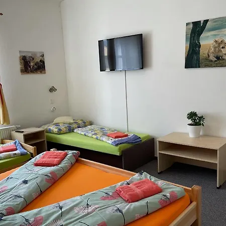 Slunecnice Pensionat Dvůr Králové nad Labem