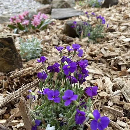 Pensionat Slunecnice 3*