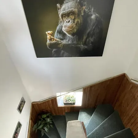 Pensionat Slunecnice Dvůr Králové nad Labem