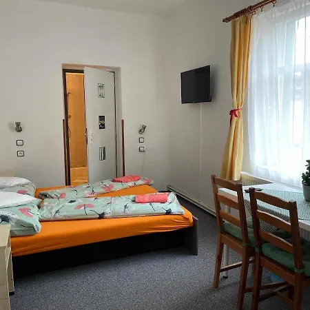 Slunecnice Pensionat Dvůr Králové nad Labem