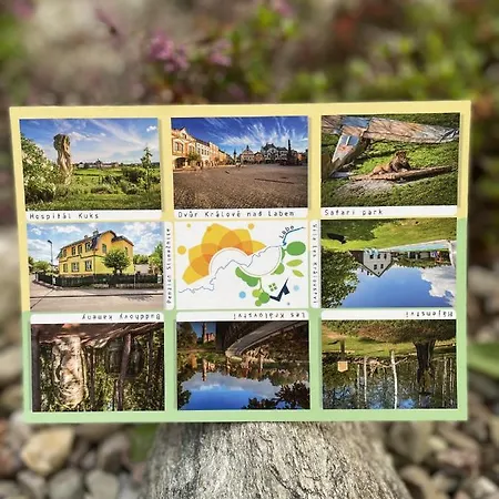 Pensionat Slunecnice Dvůr Králové nad Labem