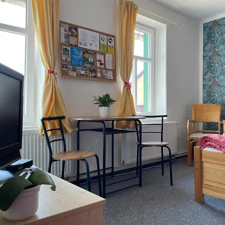 Slunecnice Dvur Kralove nad Labem