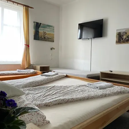 Slunecnice Pensionat 3*