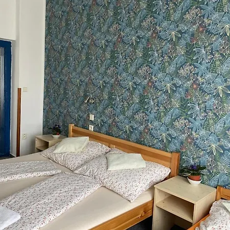 Slunecnice Pensionat Dvůr Králové nad Labem