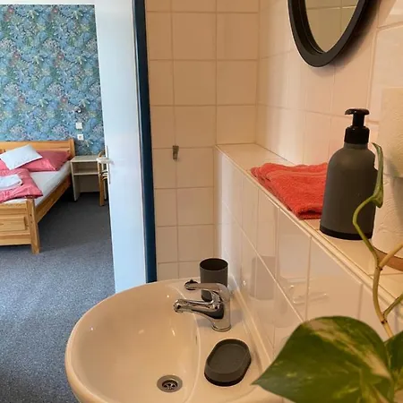 Slunecnice Dvůr Králové nad Labem