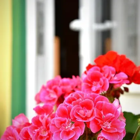 Pensionat Slunecnice