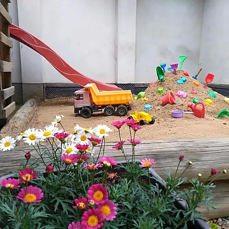 Slunecnice Dvůr Králové nad Labem