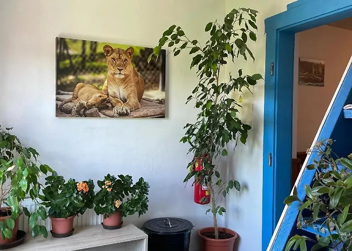 Affittacamere Slunečnice