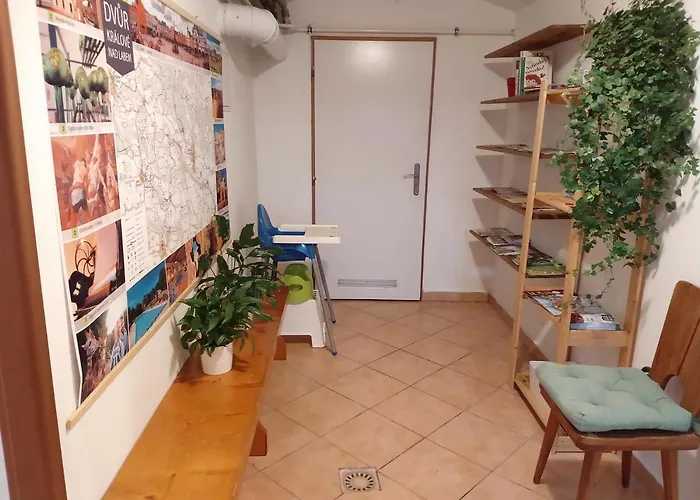 Slunečnice 3*