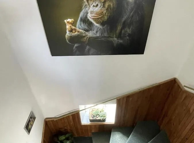 Affittacamere Slunečnice Dvůr Králové nad Labem