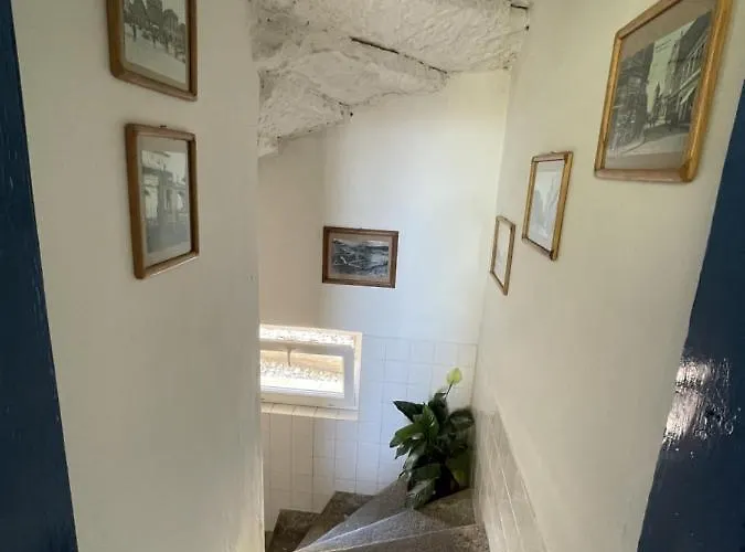 Slunečnice Dvůr Králové nad Labem