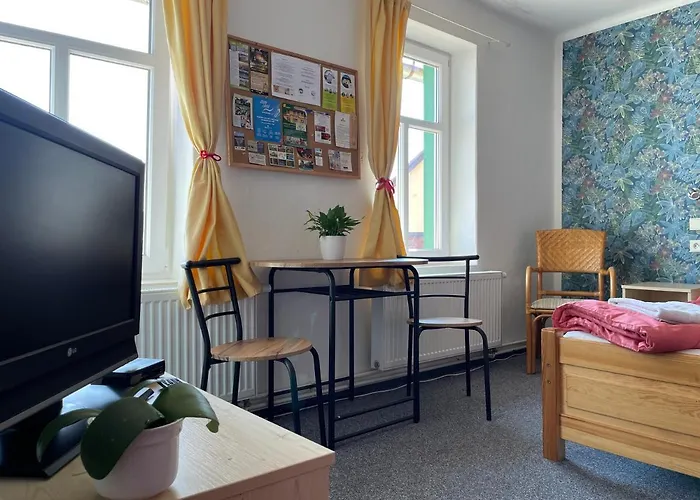 Slunečnice Dvůr Králové nad Labem
