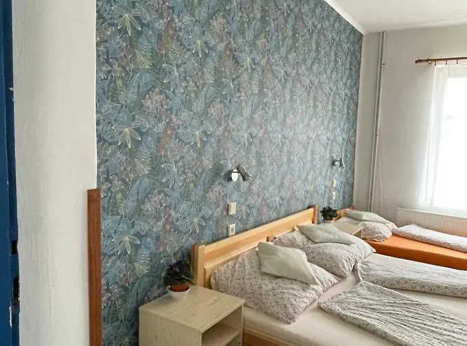 Slunečnice 3*