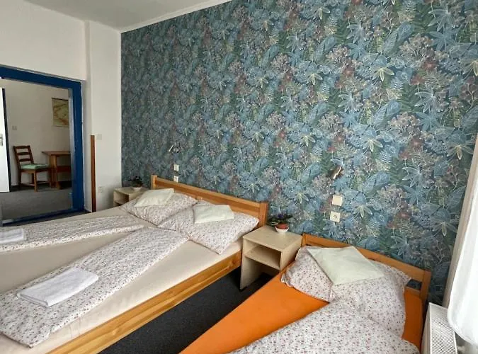 Slunečnice Dvůr Králové nad Labem