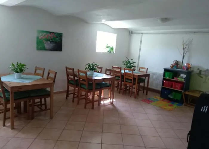 Slunečnice